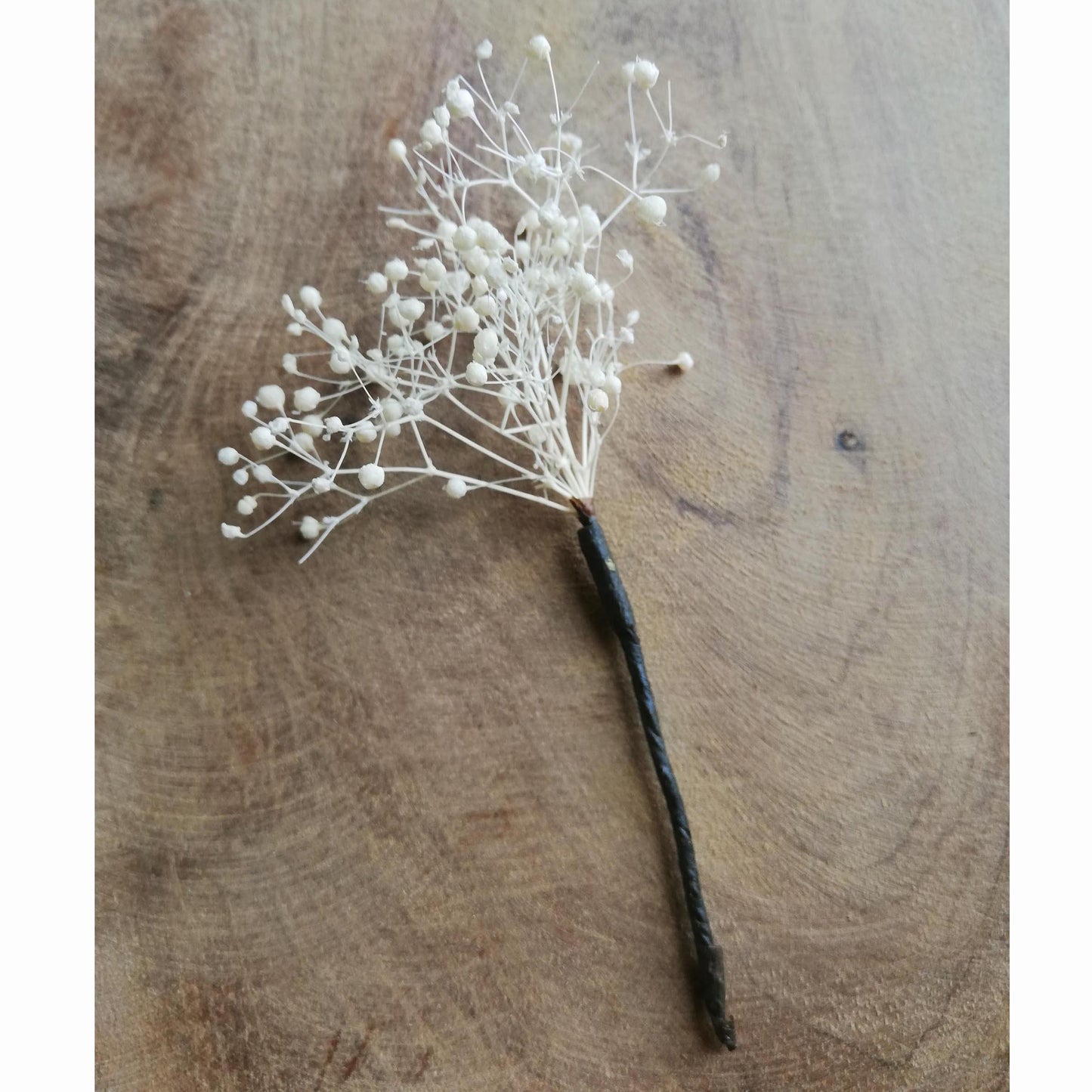 Pic Gypsophile blanc stabilisé
