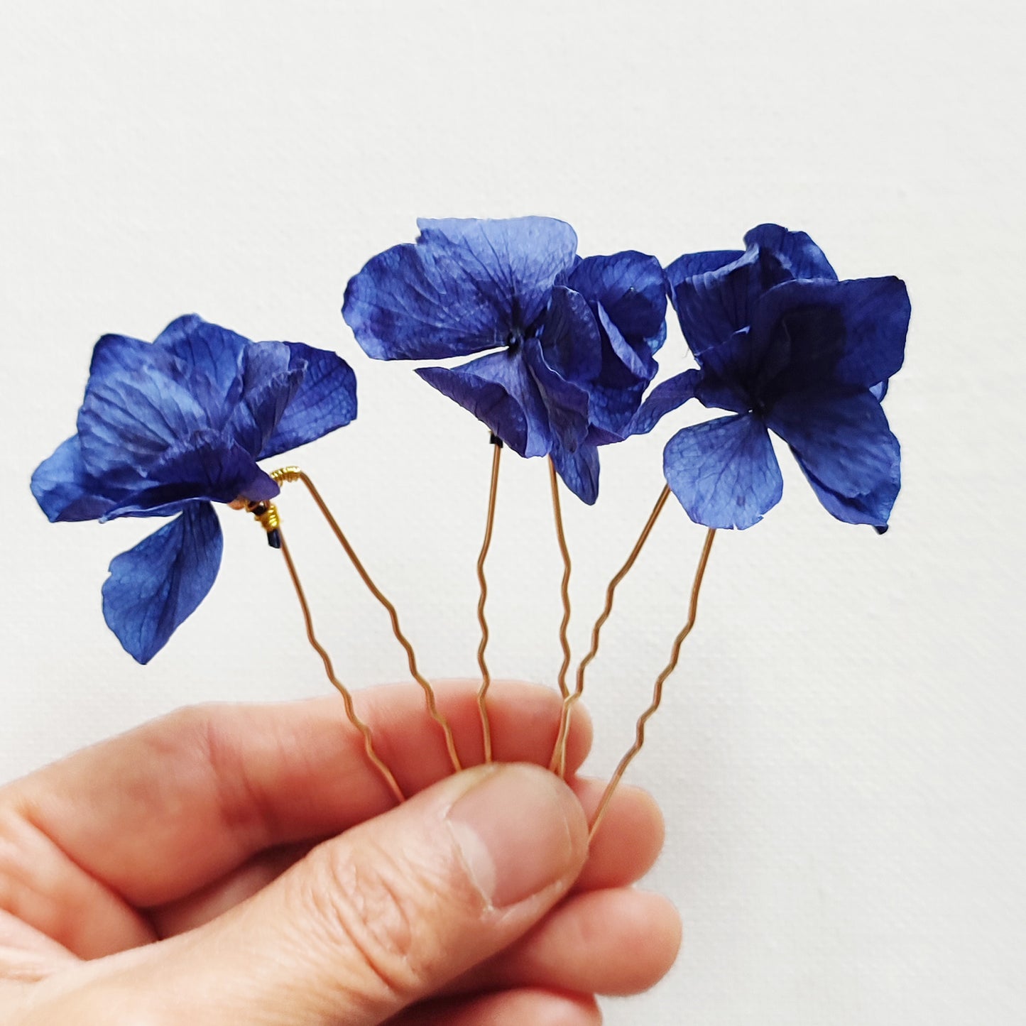 pics en fleurs bleus stabilisées et séchées