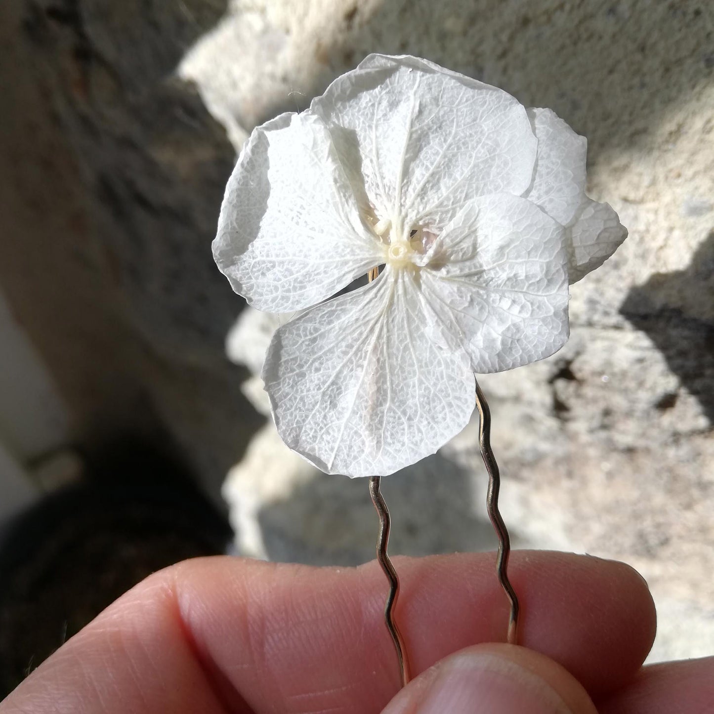 Epingle à cheveux fleurs stabilisées coloris crème