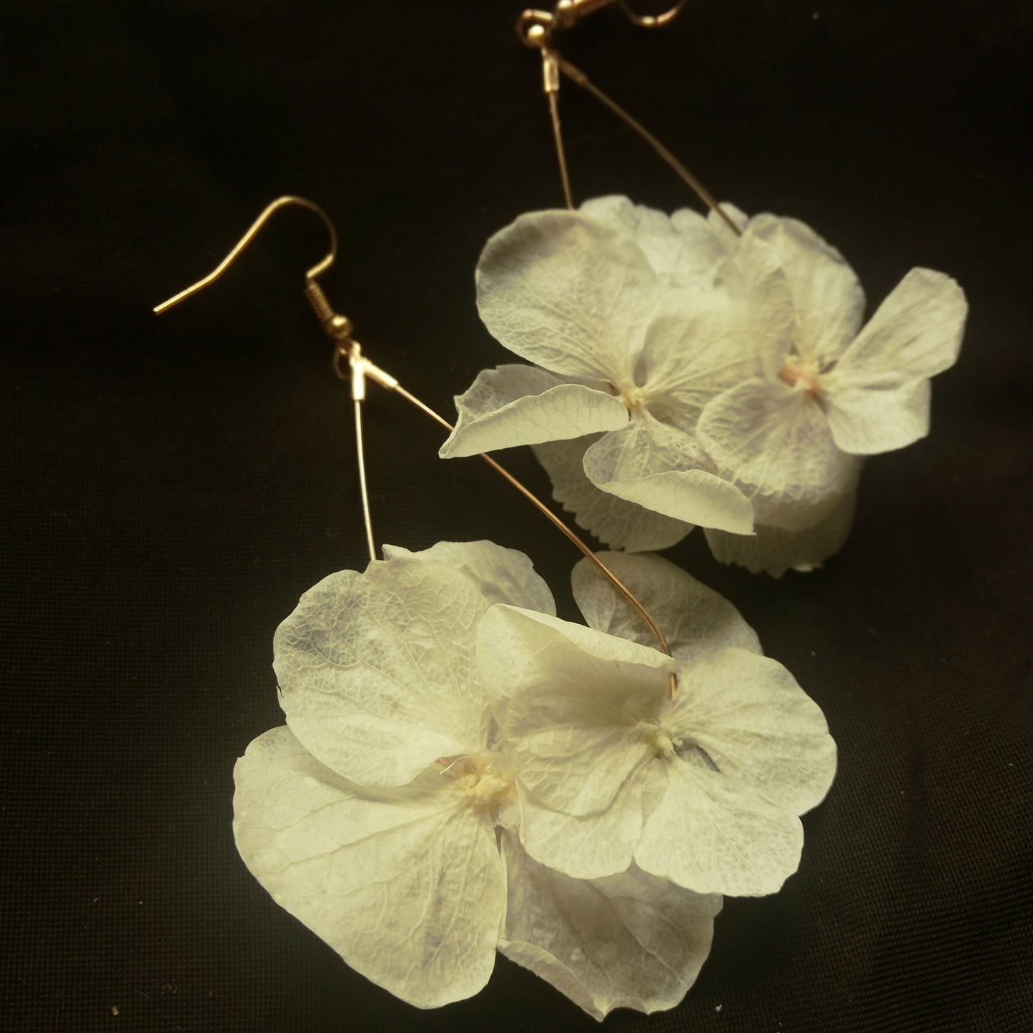 Boucles d'oreilles fleurs stabilisées, hortensia naturel, couleur crème