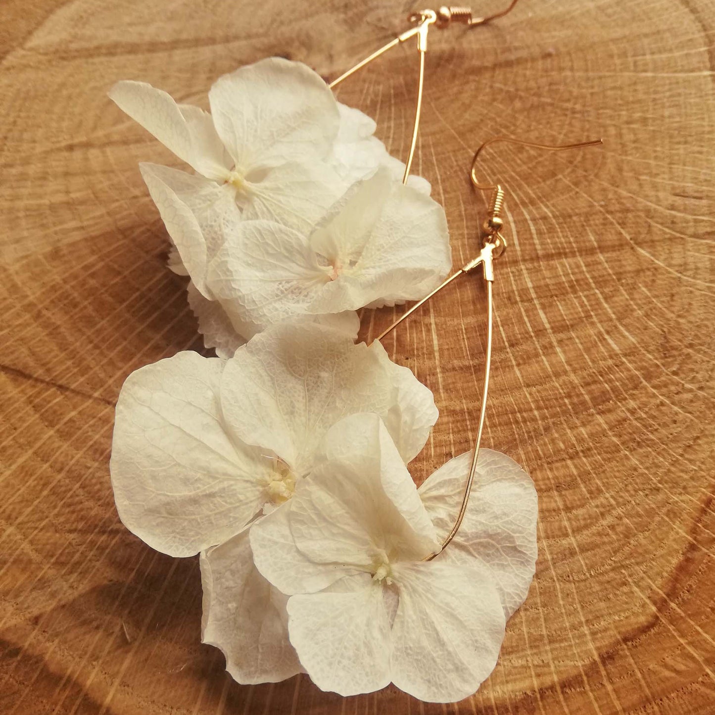 Boucles d'oreilles fleurs stabilisées, hortensia naturel, couleur crème