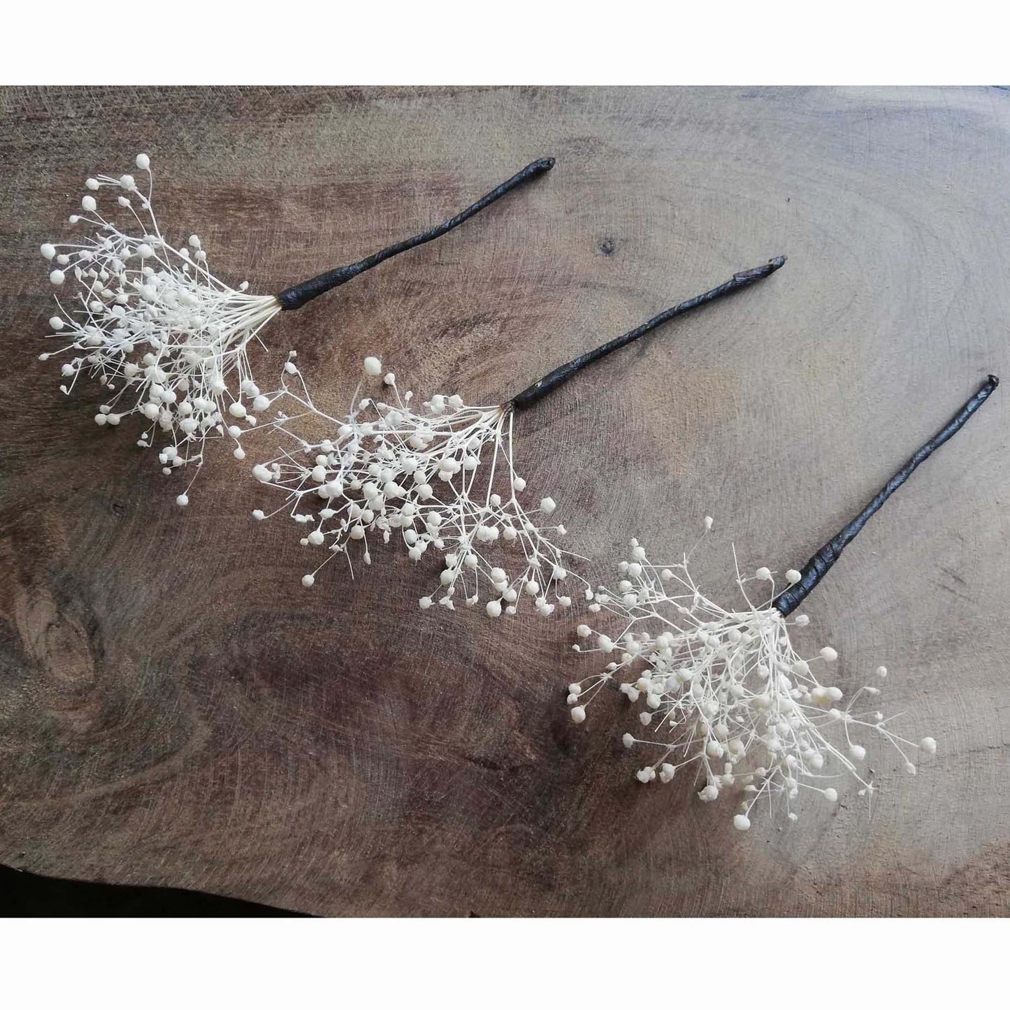 Pic Gypsophile blanc stabilisé