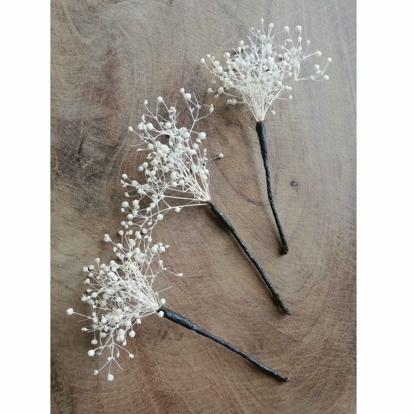 Pic Gypsophile blanc stabilisé