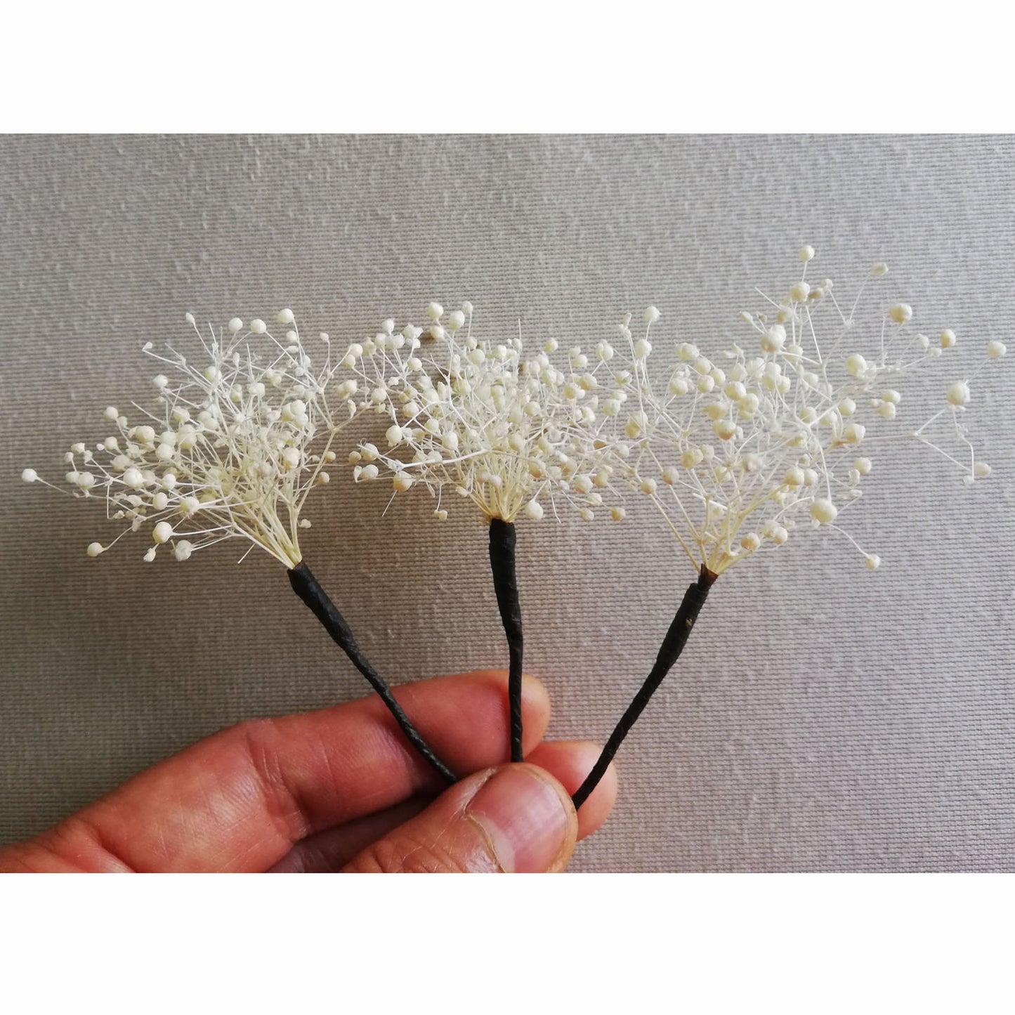 Pic Gypsophile blanc stabilisé