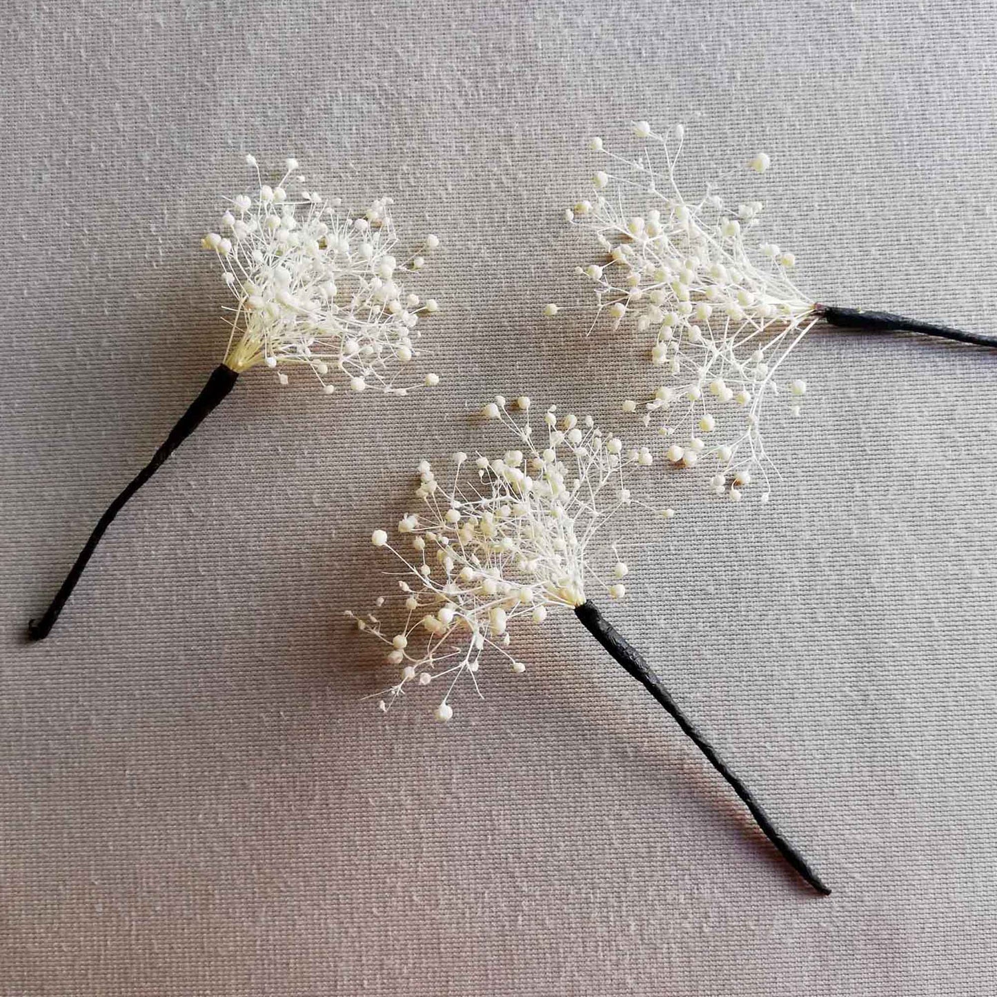 Pic Gypsophile blanc stabilisé