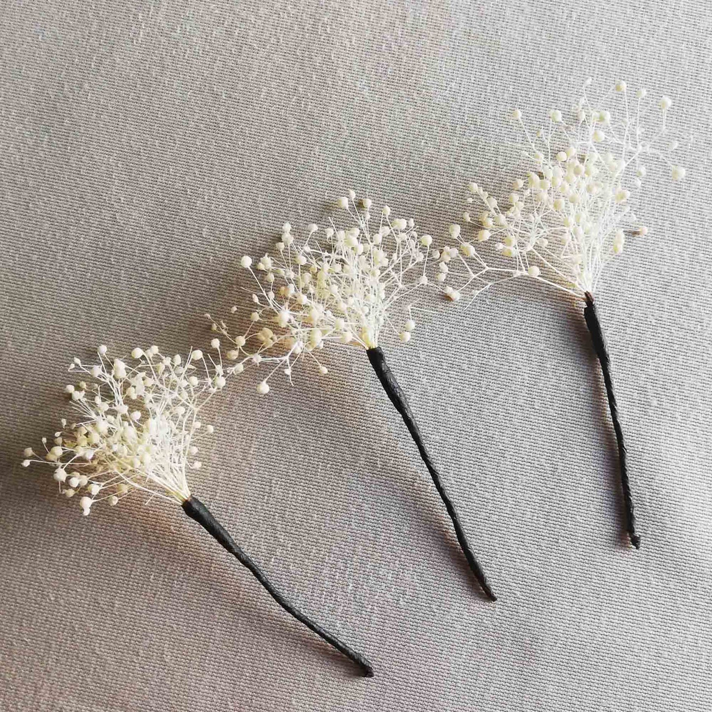 Pic Gypsophile blanc stabilisé