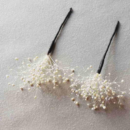 Pic Gypsophile blanc stabilisé