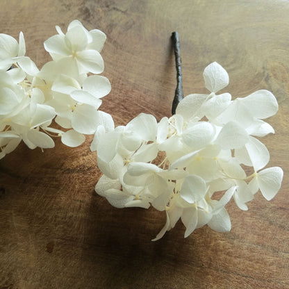 Pic en fleurs naturelles d'hortensia,  Pin de fleur, épingle à cheveux fleurs stabilisées, Épinglette de fleurs blanches séchées mariage