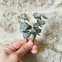 Charger l&#39;image dans la galerie, Lot de 2 Pics vert à cheveux eucalyptus
