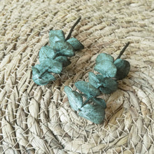 Charger l&#39;image dans la galerie, Lot de 2 Pics vert à cheveux eucalyptus
