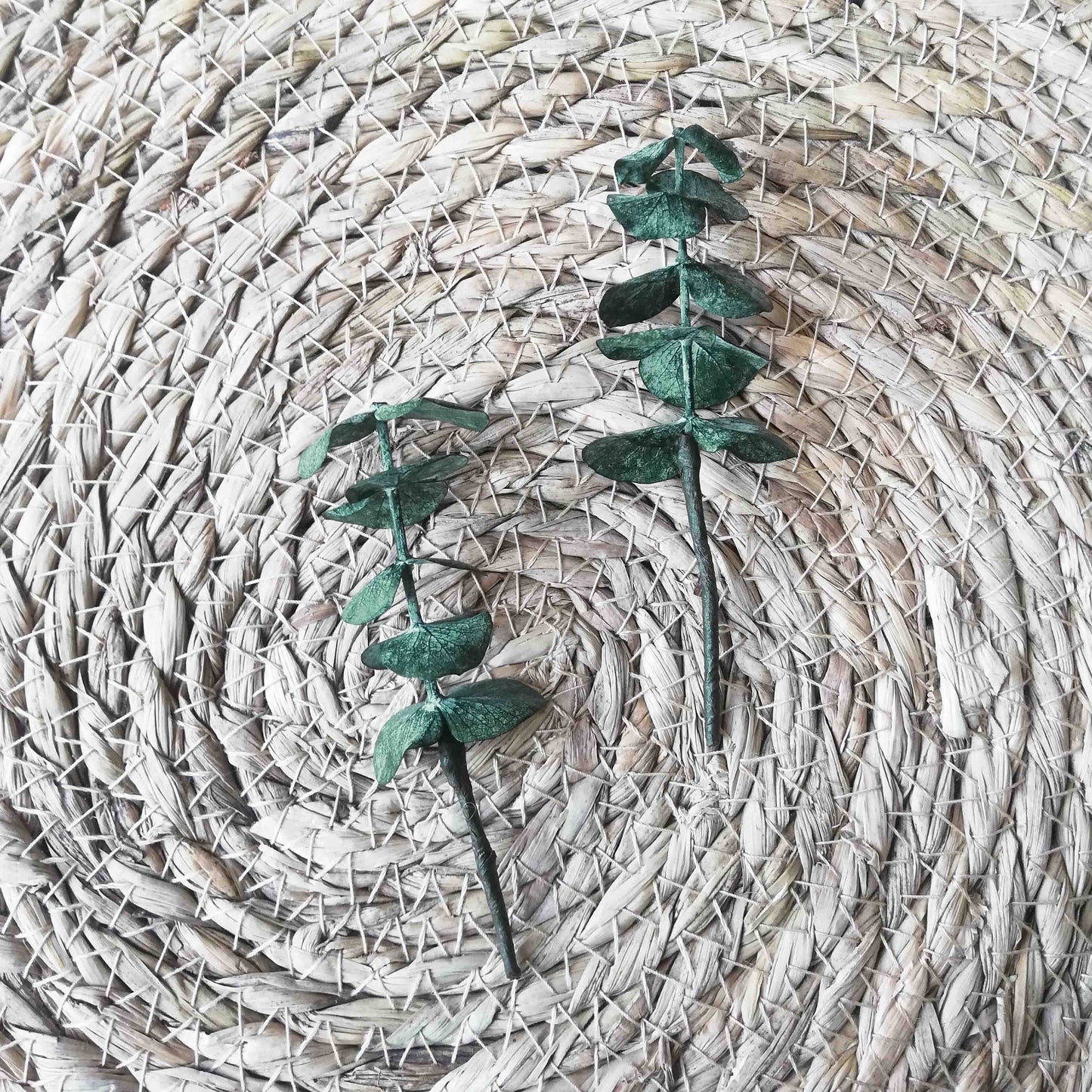 Lot de 2 Pics vert à cheveux eucalyptus