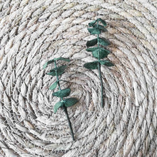 Charger l&#39;image dans la galerie, Lot de 2 Pics vert à cheveux eucalyptus
