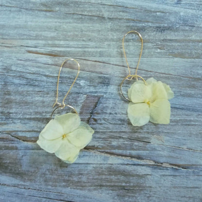 Boucle d'oreilles jaune en fleurs séchées