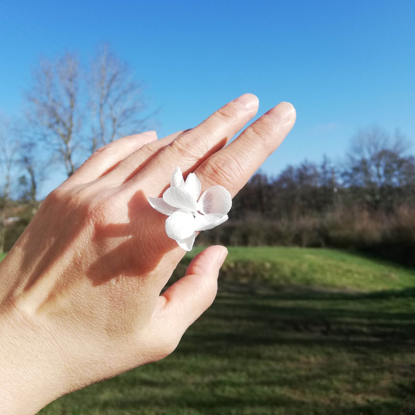Anneau de mariage en fleur stabilisées