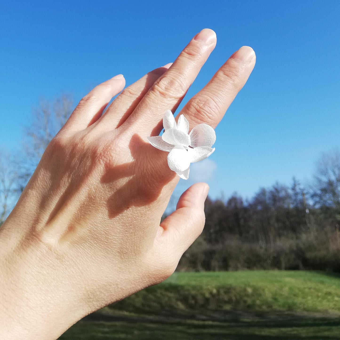 Anneau de mariage en fleur stabilisées
