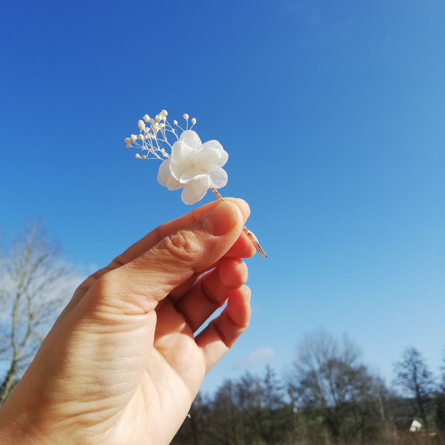 Pins en fleur stabilisées