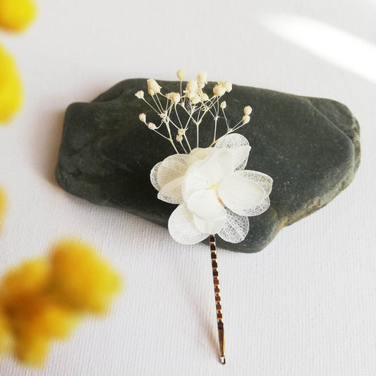 Pins en fleur stabilisées