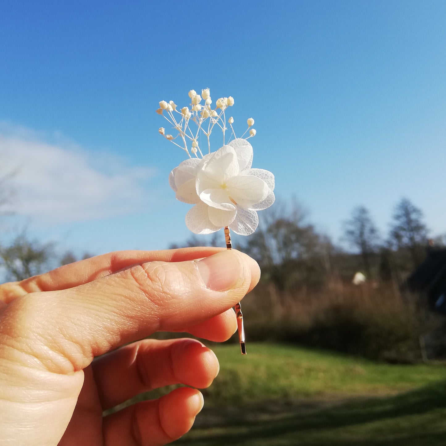 Pins en fleur stabilisées