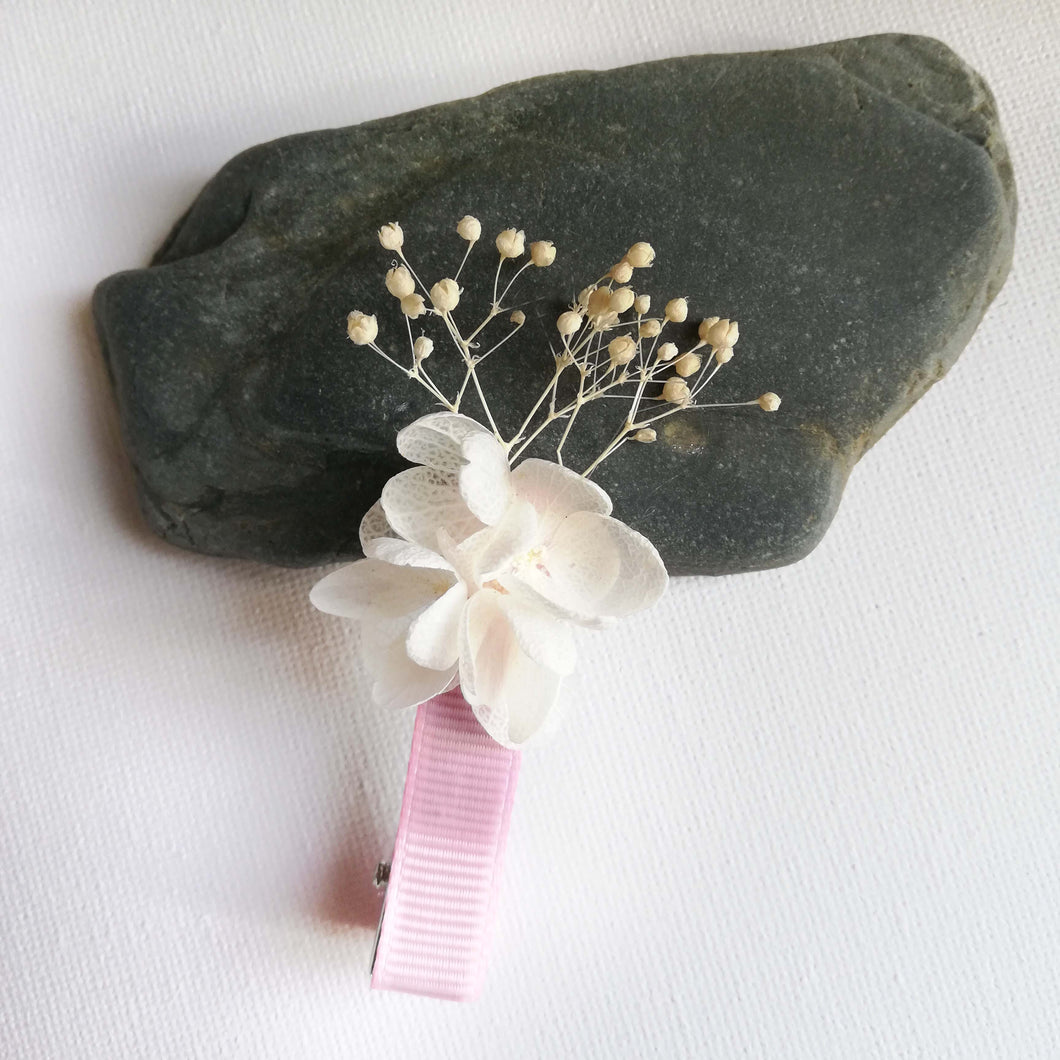 Pince en fleur stabilisées