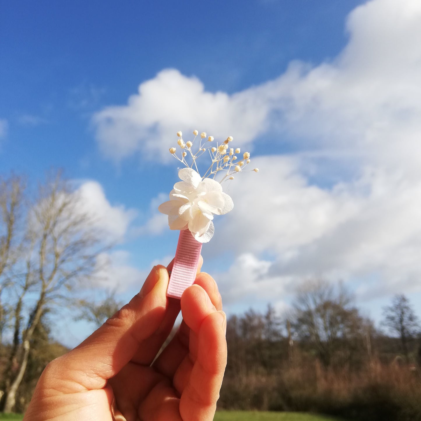 Pince en fleur stabilisées