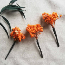 Charger l&#39;image dans la galerie, Pic Gypsophile stabilisé, Pin de fleur, épingle à cheveux fleurs stabilisées,
